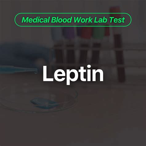 Leptin Blood Work Test - Wittmer Rejuvenation Clinic