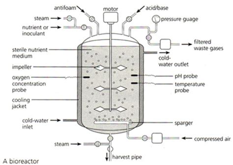 Chris Biology: 5.8 interpret and label a diagram of an industrial fermenter and explain the need ...