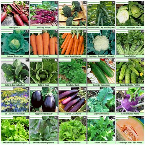 Organic Vegetable Seeds - Faq