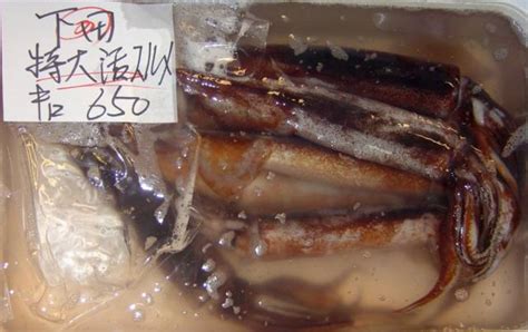 Tokyo - Tsukiji Fish Markets | Grab Your Fork: A Sydney food blog