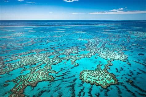 Coral Sea - WorldAtlas