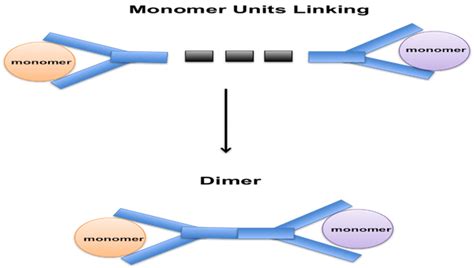 Dimer: Definition & Formation - Video & Lesson Transcript | Study.com