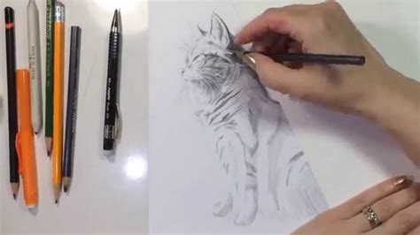 How To Draw a Cat--Long Version - YouTube