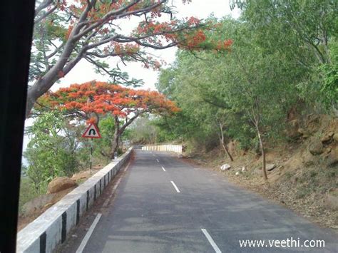 Yelagiri Hill station Road | Veethi