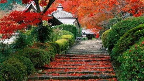 japan, Garden, Kyoto, Autumn, Fall Wallpapers HD / Desktop and Mobile ...