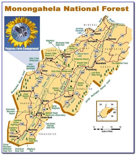 National Geographic Appalachian Trail Wall Map Prosec - vrogue.co