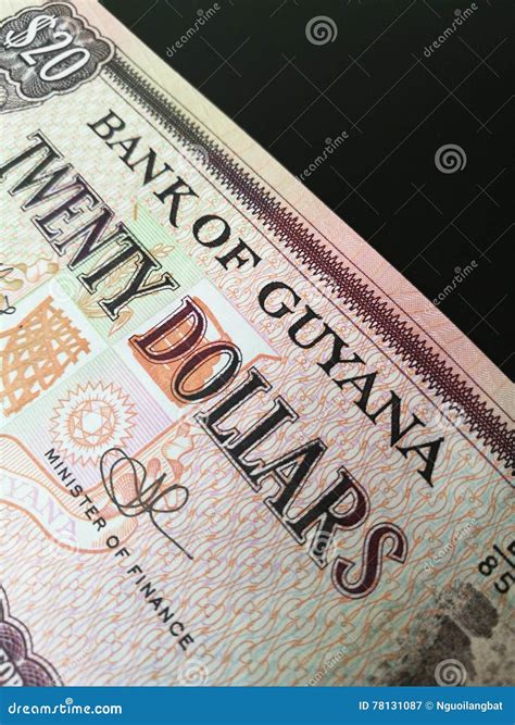 Close Up of Guyanese Dollar Stock Image - Image of financial, american: 78131087