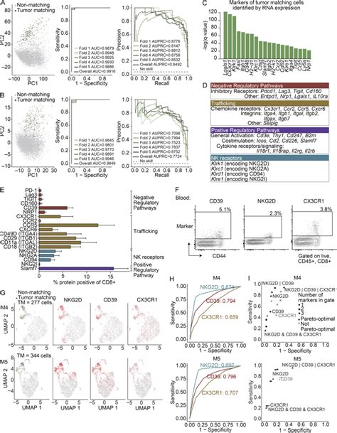 Cell surface marker panels can enrich TM cells from blood. (A and B)... | Download Scientific ...