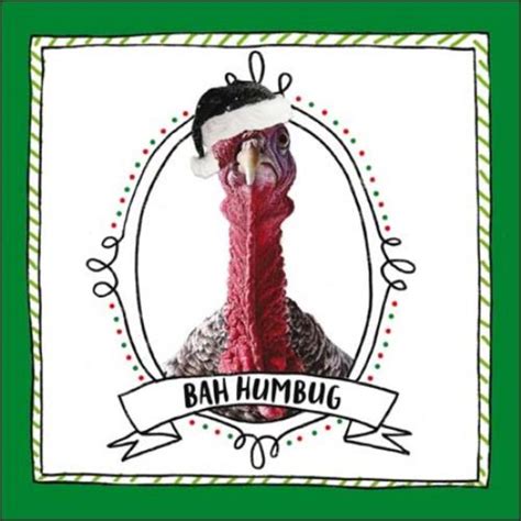 Bah Humbug Christmas Turkey Greeting Card | Cards | Love Kates