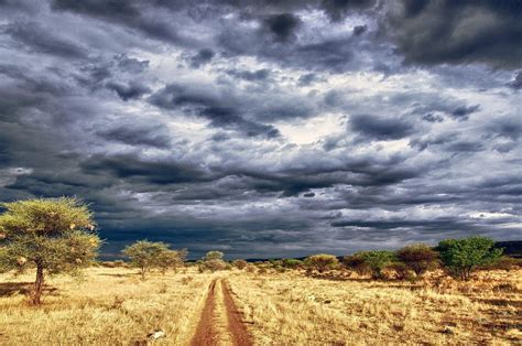 11 Days The Best Namibia Safari Tour | Trip Ways