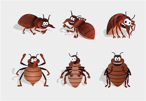 bed bug cartoon character vector 134157 Vector Art at Vecteezy