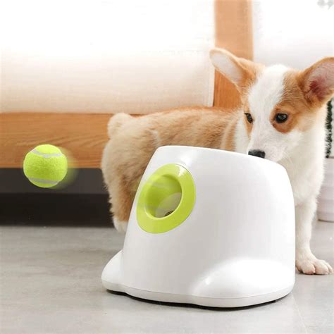 12 Best Tennis Ball Thrower Dog Toys at a Glance in 2020 - Hey, Djangles.