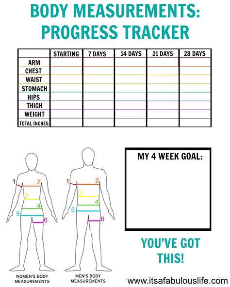 the body measurements and how to use it