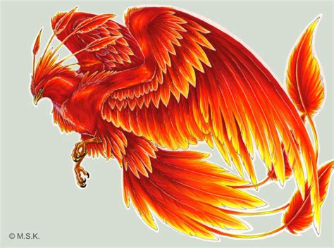 Phoenix | Phoenix drawing, Phoenix tattoo design, Phoenix bird tattoos