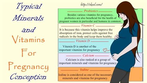 14 Typical Minerals And Vitamins For Pregnancy Conception