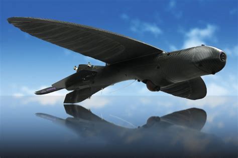 Army Scores a Super-Stealthy Drone That Looks Like a Bird | WIRED