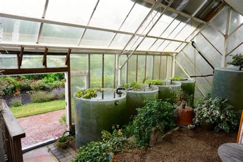 Thermal Mass Greenhouse with Water Barrels to Heat Greenhouse