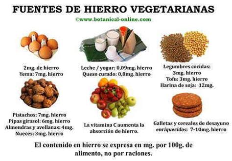 Brillante túnel galería mejores fuentes de hierro en alimentos Específicamente Exactitud pedal