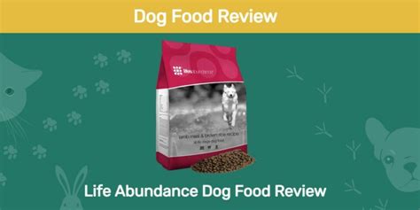 Life Abundance Dog Food Review 2023: Recalls, Pros & Cons | Pet Keen