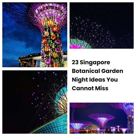 23 Singapore Botanical Garden Night Ideas You Cannot Miss | SharonSable