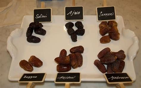 10 Best Types of Dates in Saudi Arabia | Life in Saudi Arabia