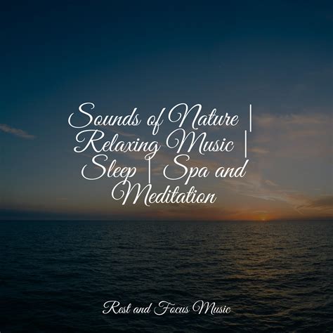 Sounds of Nature | Relaxing Music | Sleep | Spa and Meditation - White Noise Baby Sleep - 专辑 - 网易云音乐