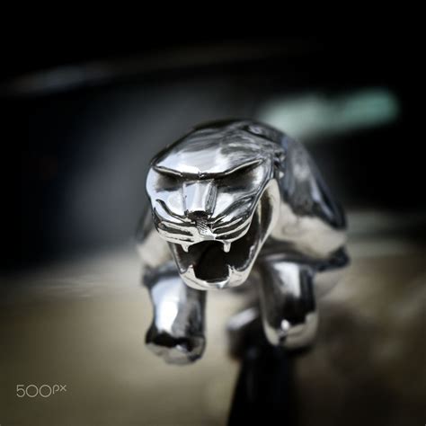 Jaguar Hood Ornament - Macro photo of the hood ornament of a 1968 Jaguar 340 Sedan | Jaguar hood ...