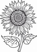 Sunflower Monograms Coloring Mini Bundle  Made sketch template