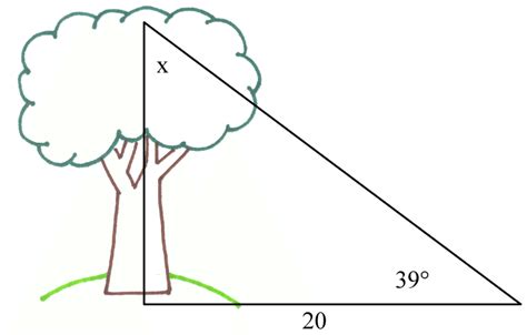 Right triangle trigonometry problem. | Download Scientific Diagram