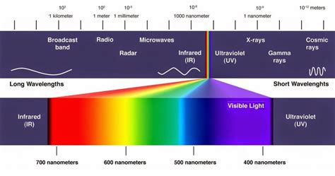 Why can we feel infrared light but not ultraviolet rays? - The Highest ...