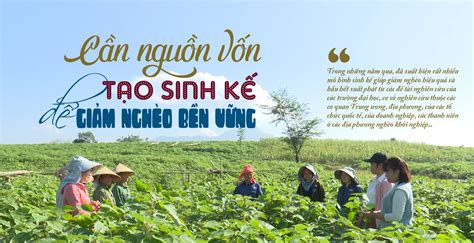 Cần nguồn vốn tạo sinh kế để giảm nghèo bền vững - Ảnh 1