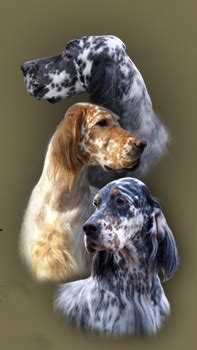 ESAA: English Setter Colors