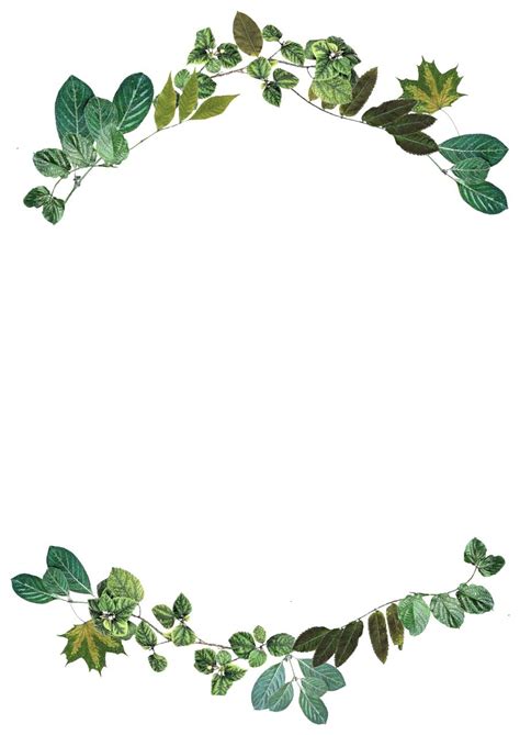 Leaves, Border, Nature, Frame, Design, Foliage, Color Boarder Designs ...