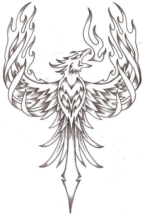 Phoenix (possibly on right forearm) | Phoenix bird tattoos, Phoenix tattoo design, Phoenix drawing