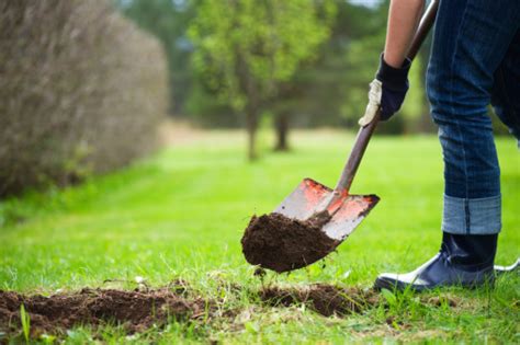 Digging Hole Stock Photo - Download Image Now - Digging, Shovel, Hole - iStock