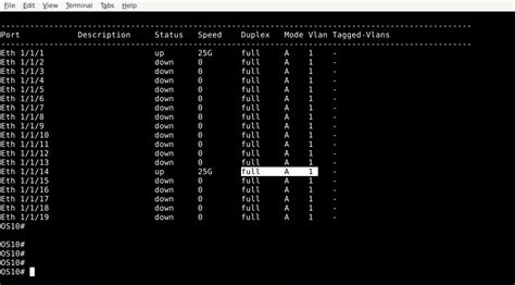 Dell EMC Networking OS10: Interface Trunk Mode Configuration | Dell US