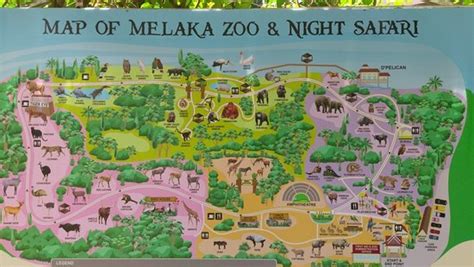 Malacca Zoo (Melaka) - 2021 All You Need to Know Before You Go (with ...