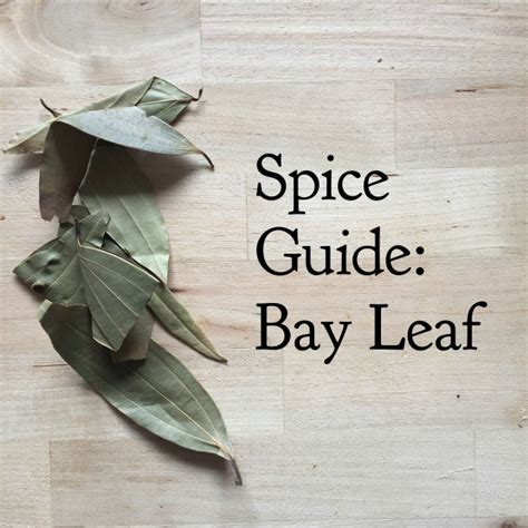 Spice Guide: Bay Leaf