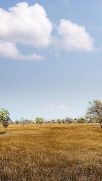 Premium Photo | Landscape view of the savanna