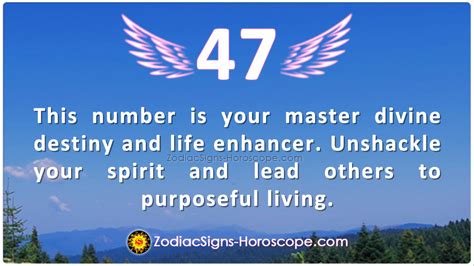 Angel Number 47 is Your Master Divine Destiny and Life Enhancer | ZSH