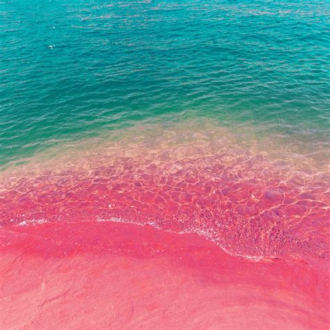 Pink Sea Wallpapers - Top Free Pink Sea Backgrounds - WallpaperAccess