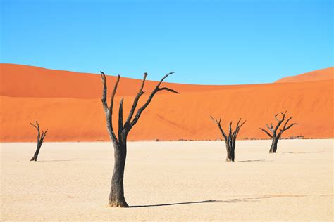 Download Desert Landscape Royalty Free Stock Photo and Image