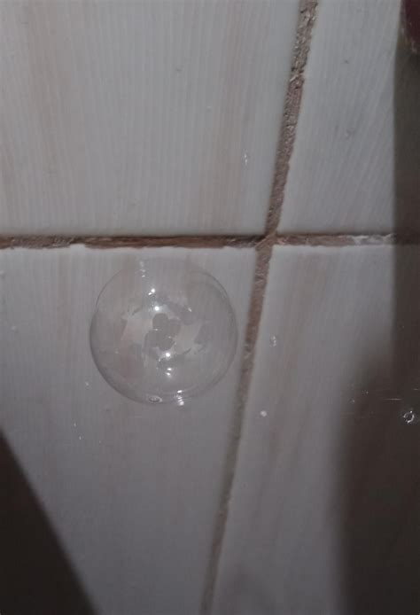 This bubble got suspended in some spider web : r/mildlyinteresting