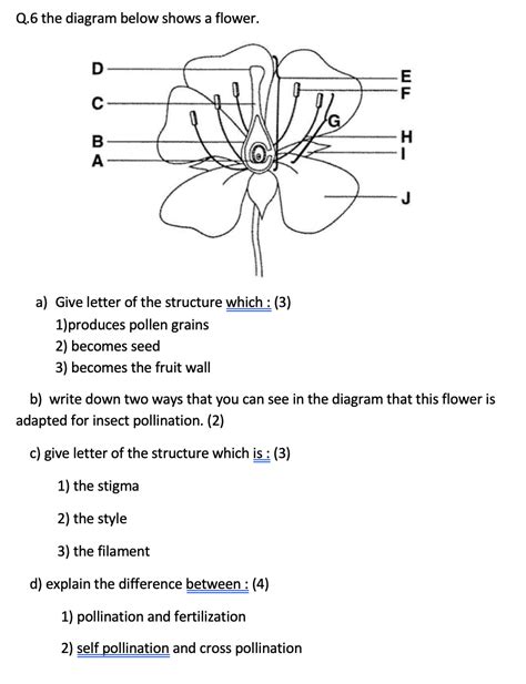 Solved Q.6 the diagram below shows a flower. D E F с H B А | Chegg.com