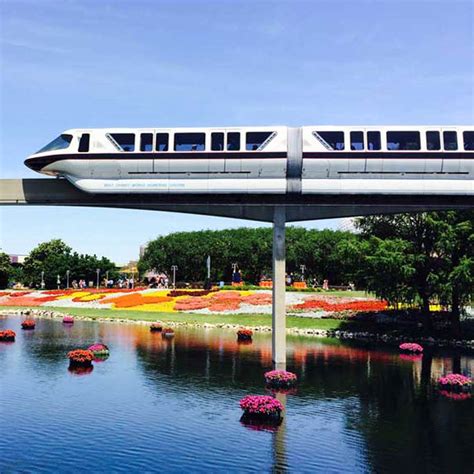 Disney World Monorail Hotels: What You Need To Know