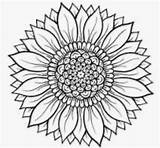 Sunflower Coloring Page  coloring Pages Mandala sketch template