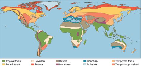 Terrestrial Biomes | Boundless Biology