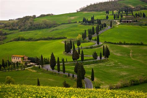 Tuscany Wine Tours - Tuscan Tour Guide