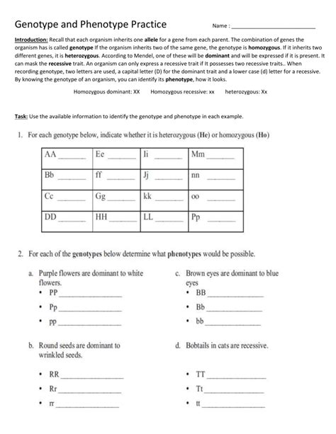 Genotype Phenotype Worksheet