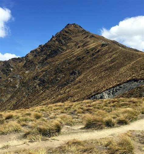 Hiking the Ben Lomond Track in New Zealand - Habits of a Travelling ...